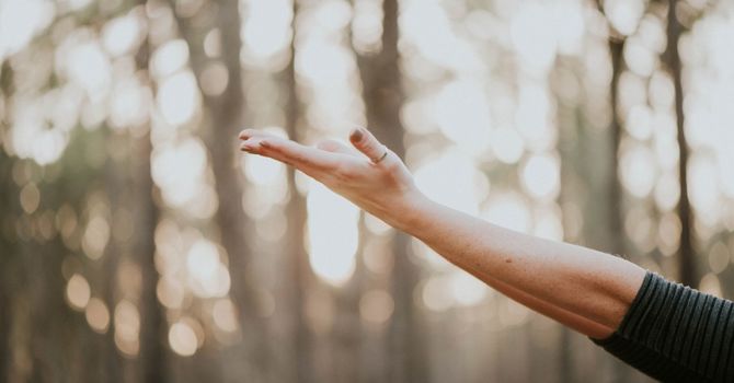 Health and Fitness Optimization